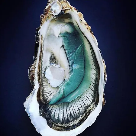 Le Sable Chaud Nyaraló