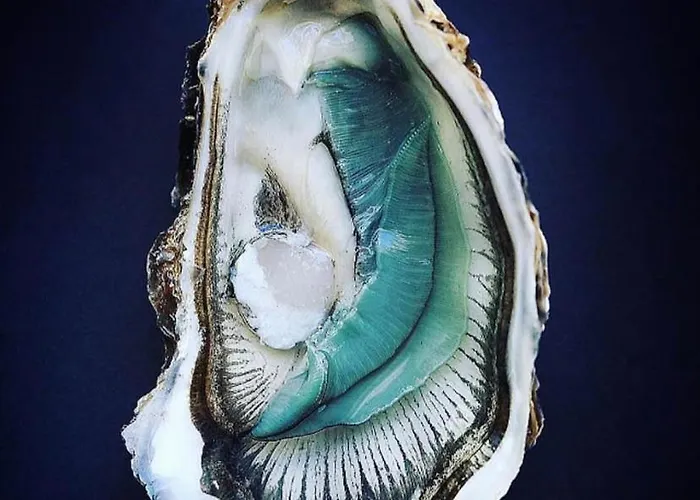 Le Sable Chaud Сasa de vacaciones